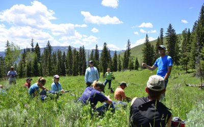 New course! Adaptive Ecological monitoring