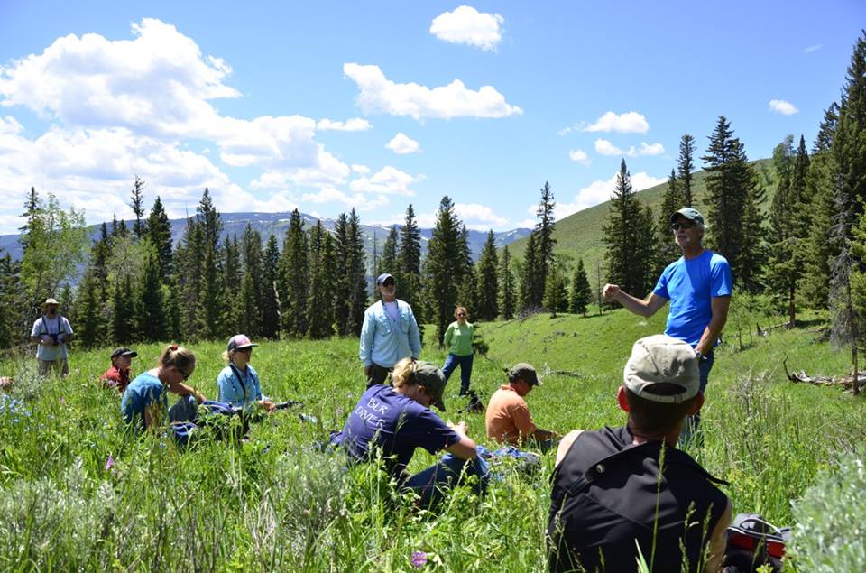 New course! Adaptive Ecological monitoring