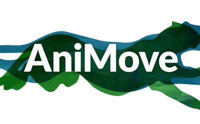 Blog report: AniMove Fundamentals course in Germany