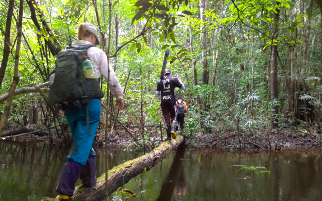 Blog report: Amazonian floodplain forests and remote sensing